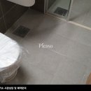 브라운피카소