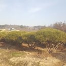 영민농장 이미지