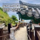달마스테이 | 양양 낙산사 산책코스 사진스팟