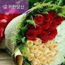 잘먹겠습니다 이미지