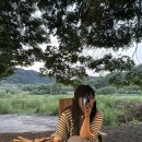 후평숲캠핑장 이미지