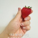 화장빨토탈뷰티살롱 이미지