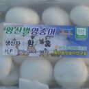 버섯돌이네농장