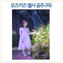 엘사 구두 여아 LED 공주 털슬립온 플랫슈즈 오즈키즈