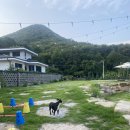 WEST PC방 이미지