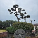 크라운CC | 제주 크라운cc 겨울 라운딩 후기