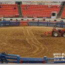 청도소싸움경기장 이미지