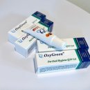 그린애견 이미지