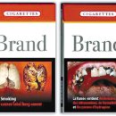 파워포인트&인포그래픽 이미지