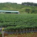 산내음농장 이미지