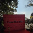 힐링관광지 주차장 | 제주 서귀포 가볼만한 곳으로 추천하는 관광지 카멜리아힐 솔직후기