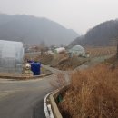 수산리-12 네이버블로그