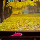 부여(사비)-10 이미지