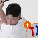골프윅스 이미지