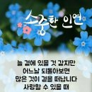 일본 노인들의 센류 이미지