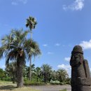 제주퍼시픽 이미지