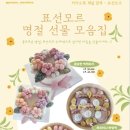 표선모르