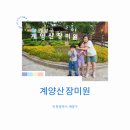 세븐일레븐계양체육공원점 | 인천 계양 장미원, 5월 가족 나들이로 딱! 주차 정보까지 총정리