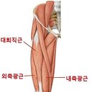 오리궁댕이 이미지