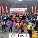 레드페이스제주 이미지