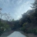 B07 | 천안 태학산 가을캠핑 오토캠핑장 예약부터 명당자리까지, B07사이트 후기