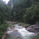 월악산꽃피는산골