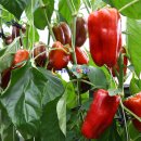 운봉농협 농산물산지유통센터 이미지