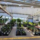 농협본점 이미지