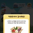 데이팜