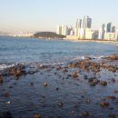 물고기 미포 이미지