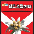 산우님들 모두~새해 복 많이 받으세요^^* 이미지