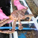 풍성한횟집 이미지