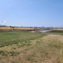 플라밍고C.C 이미지