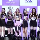 퍼플키스 카카오 검색결과