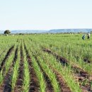 지상농장 이미지