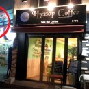 히솝 hyssop