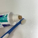 덴탈이유 | 덴탈 스프레이 처박템 된 이유… 양치 필수 템 비교 후기