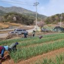 삼태산농촌체험휴양마을 이미지