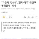 &#34;기준치 700배&#34;…&#39;알리·테무&#39; 장신구 발암물질 &#39;범벅&#39; 이미지