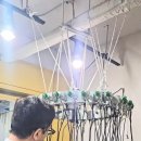 “파마가 안 나오는 모질입니다.” “고객님 모발은 파마가 안 되는 머리입니다.” 이미지