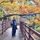 메아리마을 이미지