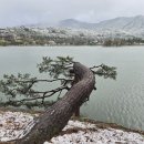 자연의 울림 이미지
