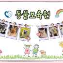 동물보육원 용인지부 이미지