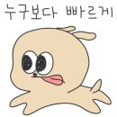 내손안에꽃만두