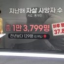 트라이스톤 주짓수 태권도 이미지