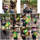 도레미어린이집 이미지