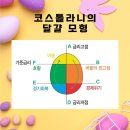 그래서 투자의 적정타이밍이 대체 언젠데요? -달걀모양으로 알아봐요- 이미지