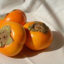 팬덤핏 피트니스 PT 연산점 이미지