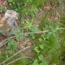 삼배농장 이미지