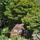 히어리캠핑장펜션 | 영월 계곡캠핑장 추천 히어리캠핑장 글램핑 후기